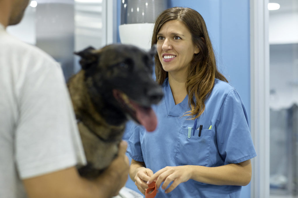 Female vet looking at colleague with dog