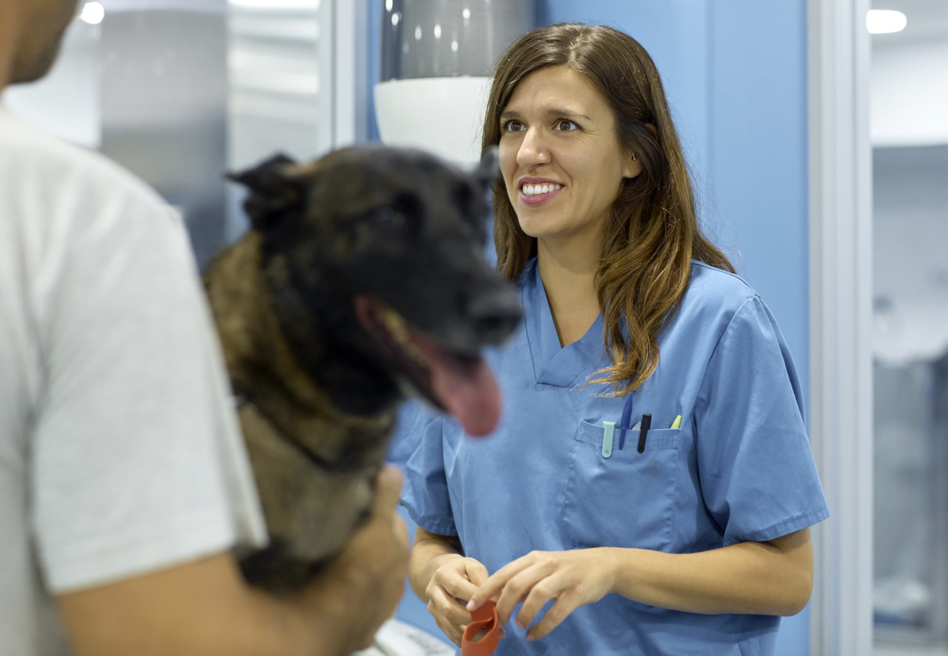 Female vet looking at colleague with dog