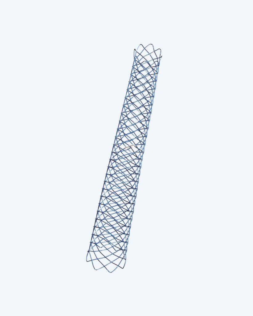 Duality Stent