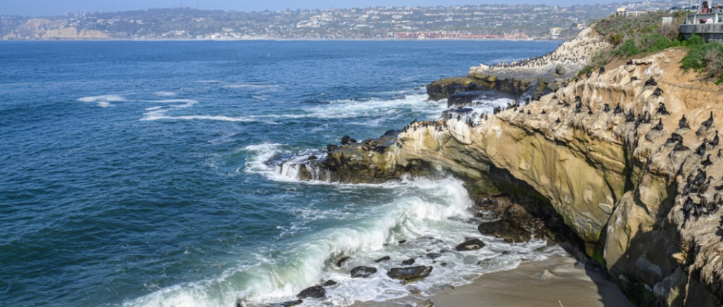 La Jolla Cove in San Diego basking in the golden afternoon sun, with crystal-clear waters and rugged coastal cliffs.